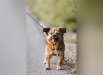 Menschenbezogene Senioren Pixie wartet in 49324 Melle auf dich!
