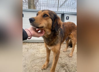 Fila zaubert dir ein Lächeln ins Gesicht