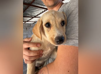 Tokio sucht nach dir