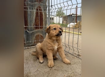 Flora wartet auf einen Neuanfang