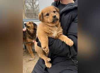 Flora schenkt dir ihr Herz