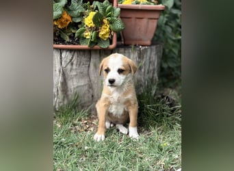 Olivi sucht ihre allererste Familie