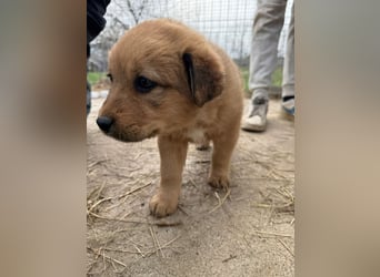 Flora wartet auf einen Neuanfang