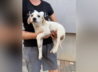 Miami sucht ihre Familie