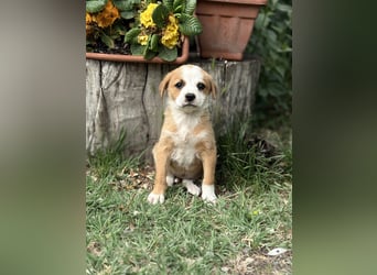 Olivi sucht ihre allererste Familie