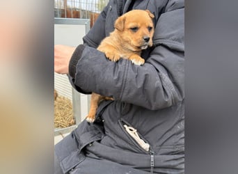 Fila zaubert dir ein Lächeln ins Gesicht