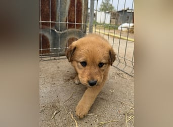 Flora wartet auf einen Neuanfang