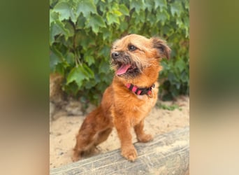 Menschenbezogene Senioren Pixie wartet in 49324 Melle auf dich!