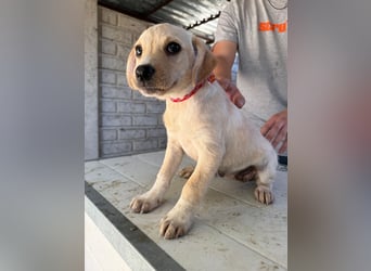 Tokio wartet auf ihre Familie