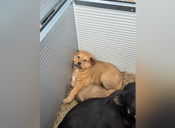 Flora wartet auf einen Neuanfang