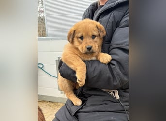 Flora wartet auf einen Neuanfang