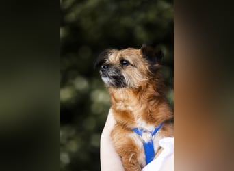 Menschenbezogene Senioren Pixie wartet in 49324 Melle auf dich!