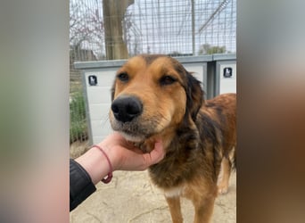 Flora wartet auf einen Neuanfang