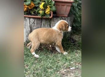 Olivi sucht ihre allererste Familie