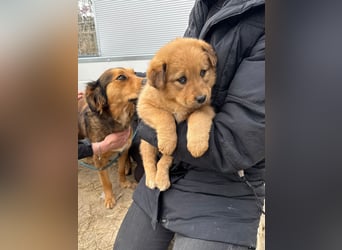 Flora wartet auf einen Neuanfang