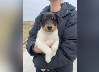 Eliza bringt die Sonne mit