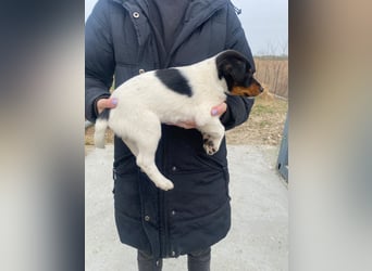 Eliza bringt die Sonne mit