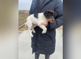 Eliza ist bereit für dich