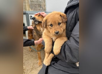 Flora wartet auf einen Neuanfang