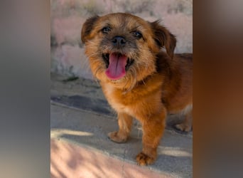 Menschenbezogene Senioren Pixie wartet in 49324 Melle auf dich!