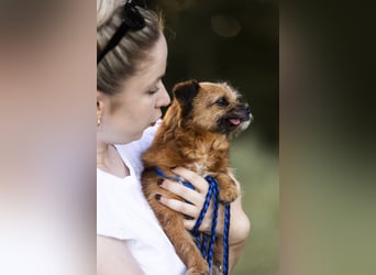Menschenbezogene Senioren Pixie wartet in 49324 Melle auf dich!