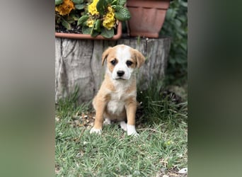 Olivi sucht ihre allererste Familie