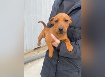 Elli möchte nie mehr allein sein