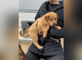 Flora wartet auf einen Neuanfang