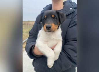 Eliza bringt die Sonne mit