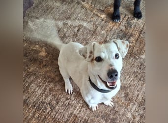 Josef, geb. ca. 10/2023, lebt in GRIECHENLAND, auf einer privaten Pflegestelle