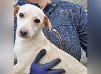 Anni sucht ein warmes Körbchen