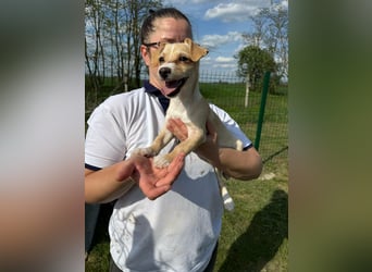Zserbo, geboren 01.01.2026, 24cm sucht ihr Glück
