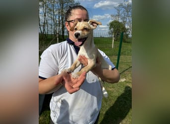 Zserbo, geboren 01.01.2026, 24cm sucht ihr Glück