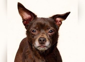 Zoe / Willow ist sanft und freundlich