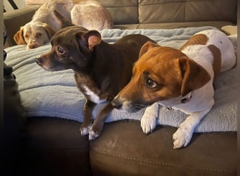 Zoe / Willow ist sanft und freundlich