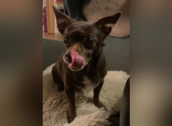 Zoe / Willow ist sanft und freundlich