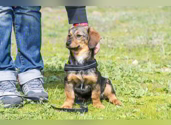 Szörpi SI - frech, aktiv