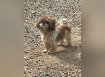 Sky sucht Ihre Menschen!