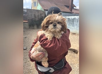 Sky sucht Ihre Menschen!