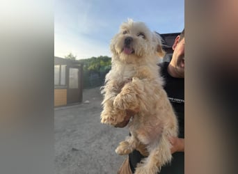 Berti sucht seine Familie
