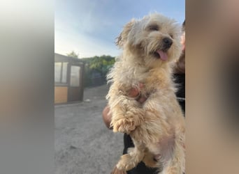 Berti sucht seine Familie