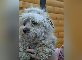 Berti sucht seine Familie