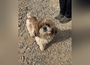 Sky sucht Ihre Menschen!