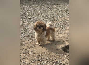 Sky sucht Ihre Menschen!