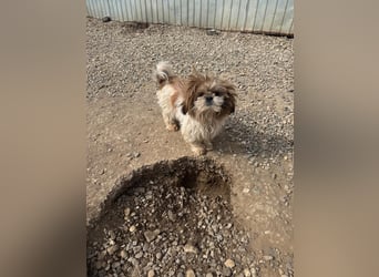 Sky sucht Ihre Menschen!