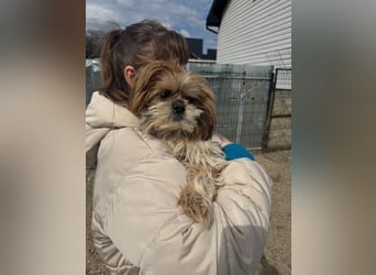 Sky sucht Ihre Menschen!