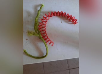 Yuki - kleiner Hund mit großem Mut