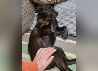 PAULA sucht ihr ruhiges Glück