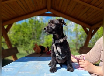 Wilma, lebensfrohe Entdeckerin, ca. 2 Monate, ca. 24 cm, ca. 4,1 kg