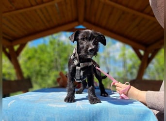 Wilma, lebensfrohe Entdeckerin, ca. 2 Monate, ca. 24 cm, ca. 4,1 kg